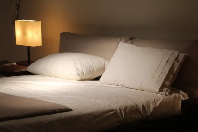jugendstill woning B&B Wilhelmina
