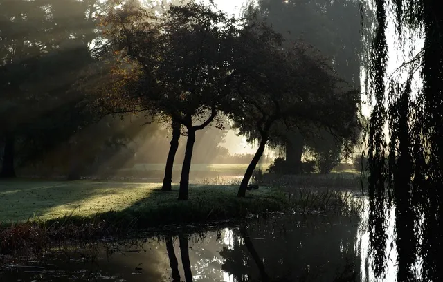 Wilhelminapark