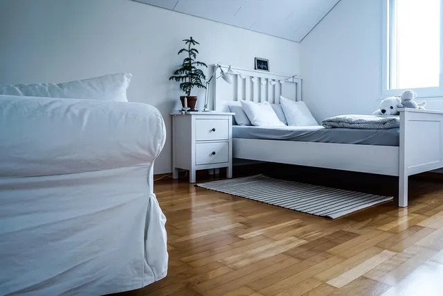 jugendstill woning B&B Wilhelmina